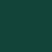 Verde Musgo (RAL 6005)